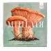 Настольная игра Мицелия (Mycelia)