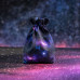 Мешочек Full Art Dice Pouch: Stardust