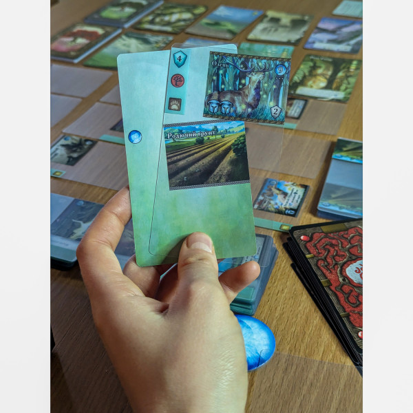 Настольная игра Містична Долина (Mystic Vale укр)