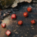 Набір кубиків Dragons Modern Dice Set: Ruby (7)