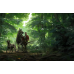 Артбук Світ гри Kingdom Come: Deliverance II