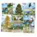 Настільна гра Лісова метушня. Альпи (Forest Shuffle: Alpine Expansion)