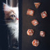 Набір кубиків Cats Dice Set Muffin (7)