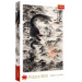 Пазл Дракон, Баузон. Легенда Китаю (500)
